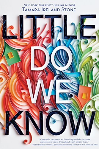 BOOK REVIEW: Little Do We Know by Tamara Ireland Stone