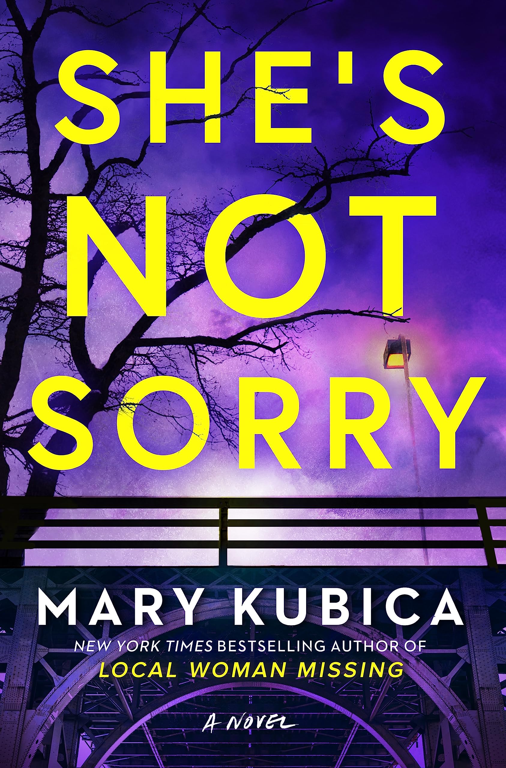 BOOK REVIEW: She’s Not Sorry by Mary Kubica