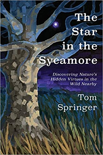 BOOK REVIEW: The Star in the Sycamore: Discovering Nature’s Hidden Virtues in the Wild Nearby by Tom Springer