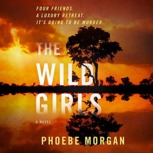BOOK REVIEW: The Wild Girls by Phoebe Morgan